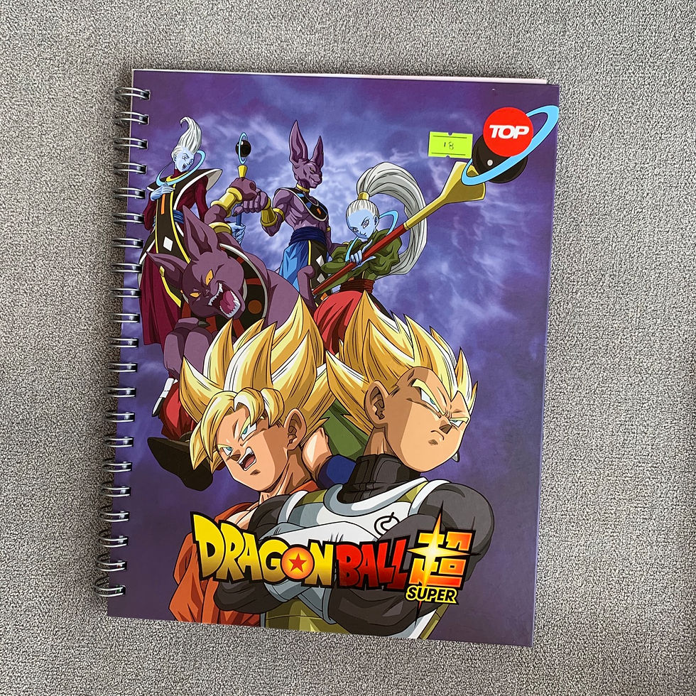 Cuaderno Anillado Metalico