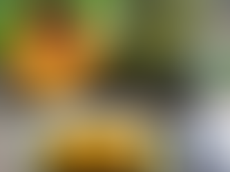 Nagasari Labu Kuning