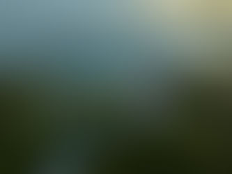 Pengalaman Berlibur yang Berbeda di Laguna Bintan Resort