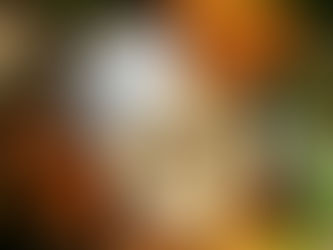 A Season of Lunar New Year at Raffles Jakarta