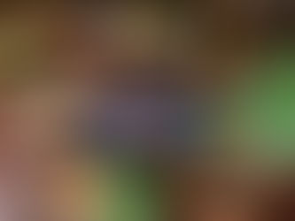 Kolaborasi CasaLena dan Mata Karanjang ‘Flavors of Freedom’ untuk Cita Rasa Indonesia