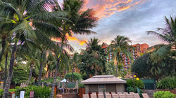 52216541314_66c71c7a10_o