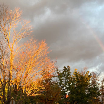 Worship and Praise Church Gold Bar