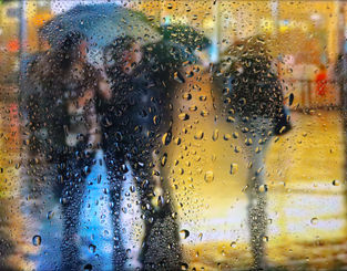 rachael sky photography
rachael blakey photography
through a rainy window photography rachael blakey
