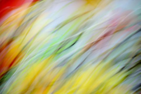 rachael sky photography
