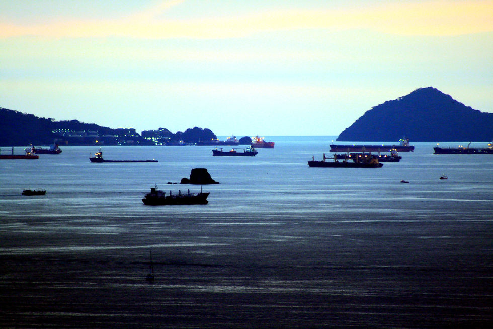 2013_11_05_1231.jpg