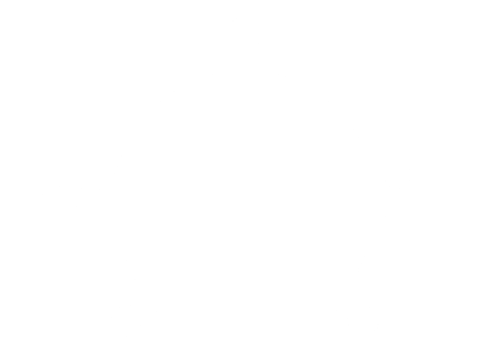 Lagoon of Randomness logo icon