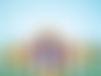 Opinião da EngD | 8 de Janeiro, dia de luta, resistência e futuro pela democracia