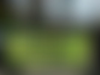 EngD transmite debate sobre reestatização da Eletrobrás