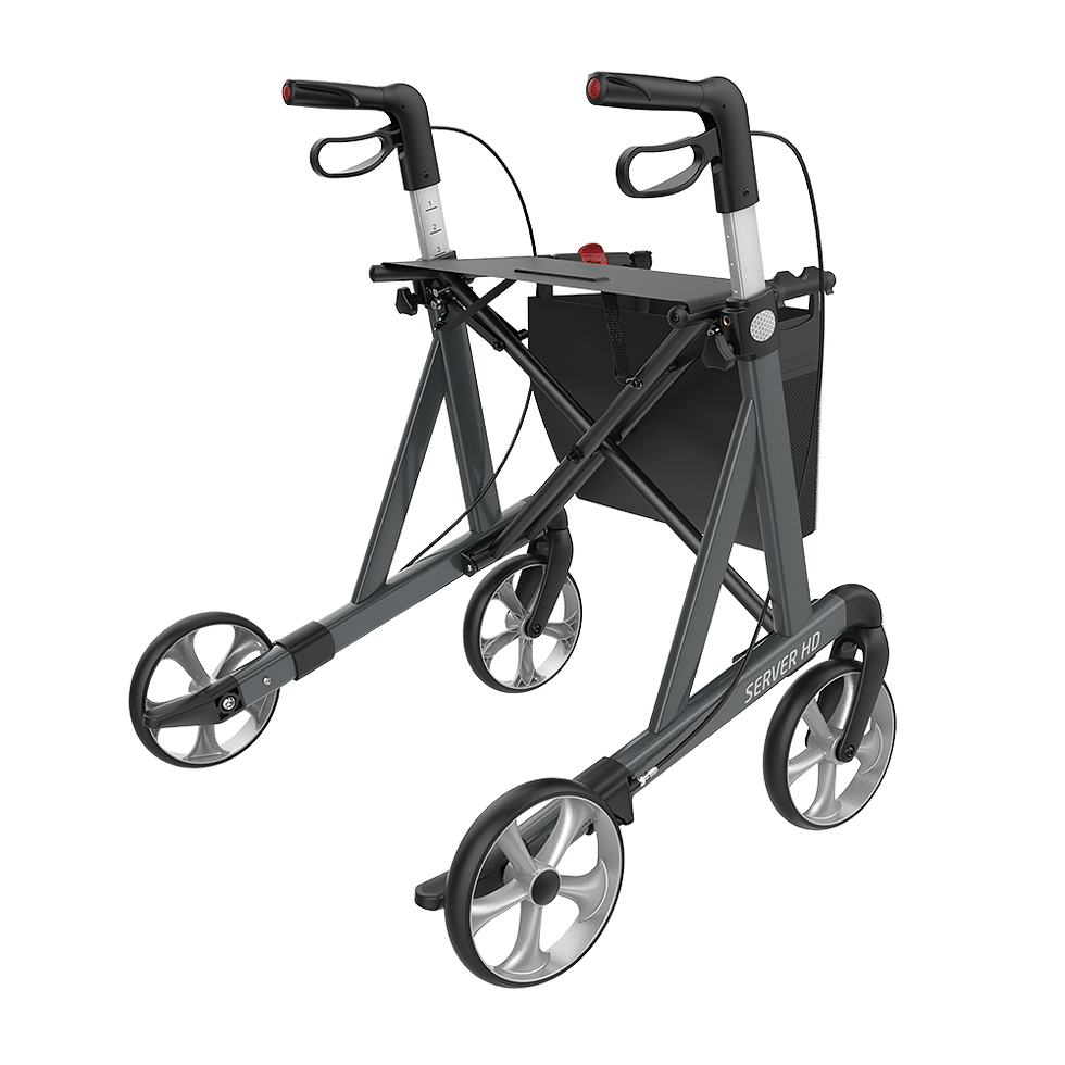 Thumbnail: Rehasense Explorer Rollator 