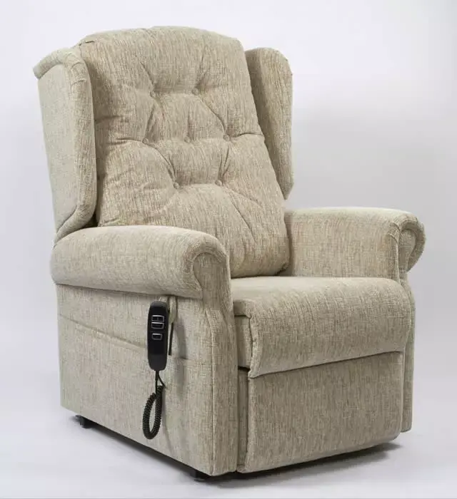 What to choose a Single / Dual Motor or Tilt in Space Riser Recliner ?