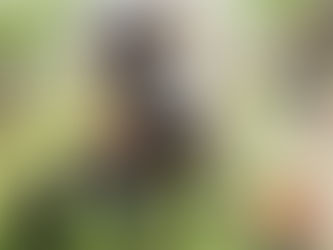 New to UK Neatech TALLY BASE FOR POSTURAL SYSTEMS