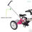 Thumbnail: Tomcat Tiger Trike