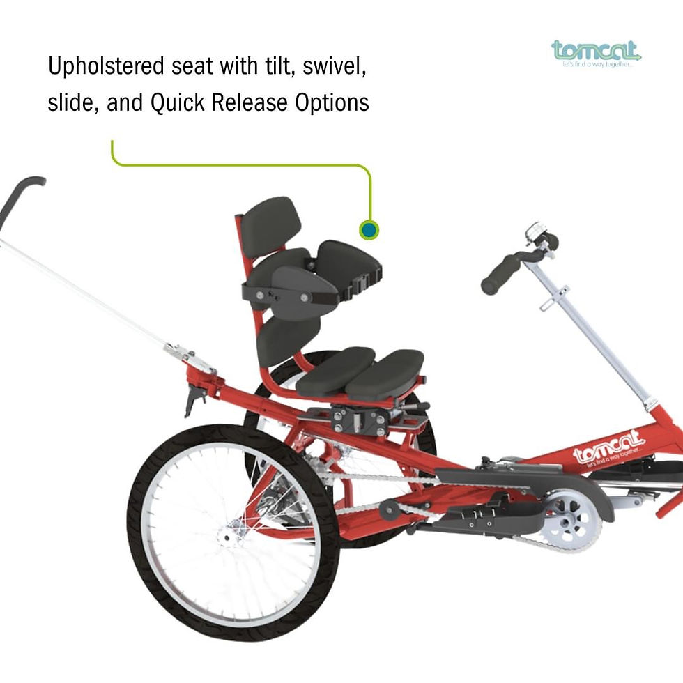 Thumbnail: Tomcat Apprentice Arrow  Mobility Trike