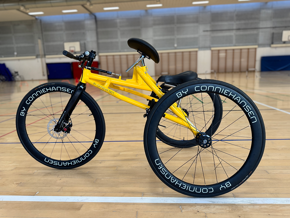 Thumbnail: Connie Hansen Speed Runner Alu. w/carbon fork, Disk Brake size 5 (x-large)