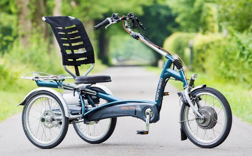 Van Raam Easy Rider Compact Tricycle Lightweight Mobility
