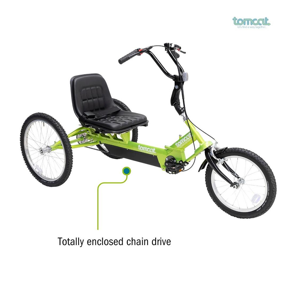 Thumbnail: Tomcat Dragon  Mobility Trike