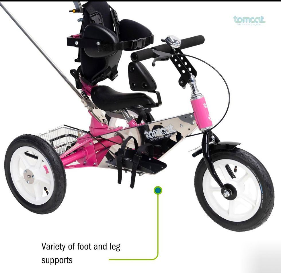 Thumbnail: Tomcat Tiger Trike