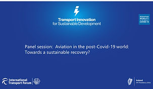 Panel session - Aviation in the post-Covid-19 world.jpg