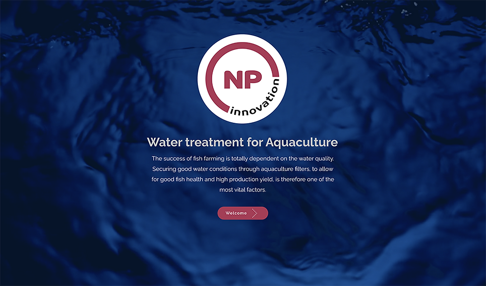 www.npinnovation.se