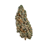 Image (2).jpeg