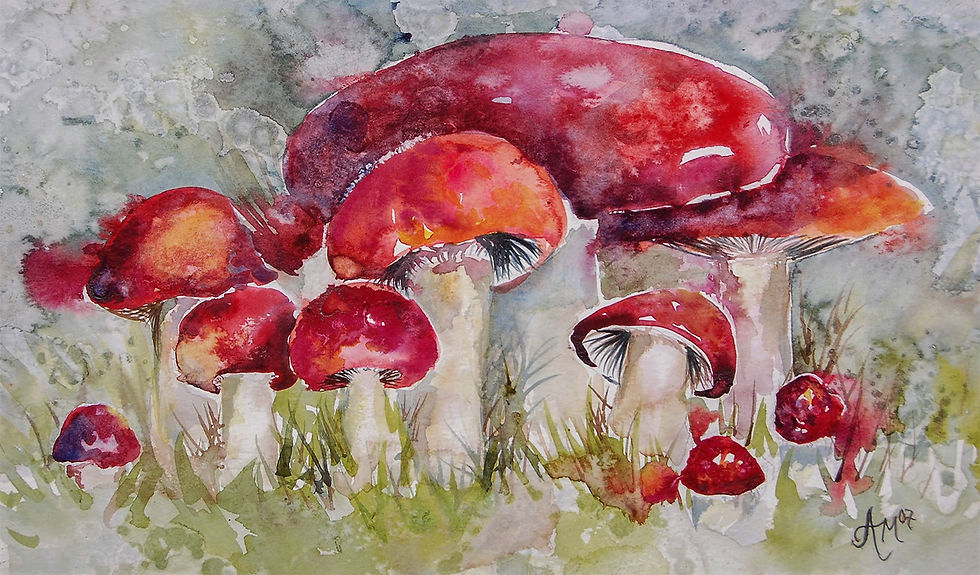 Watercolor Class Fall 2026 #1 with Amanda Gerace