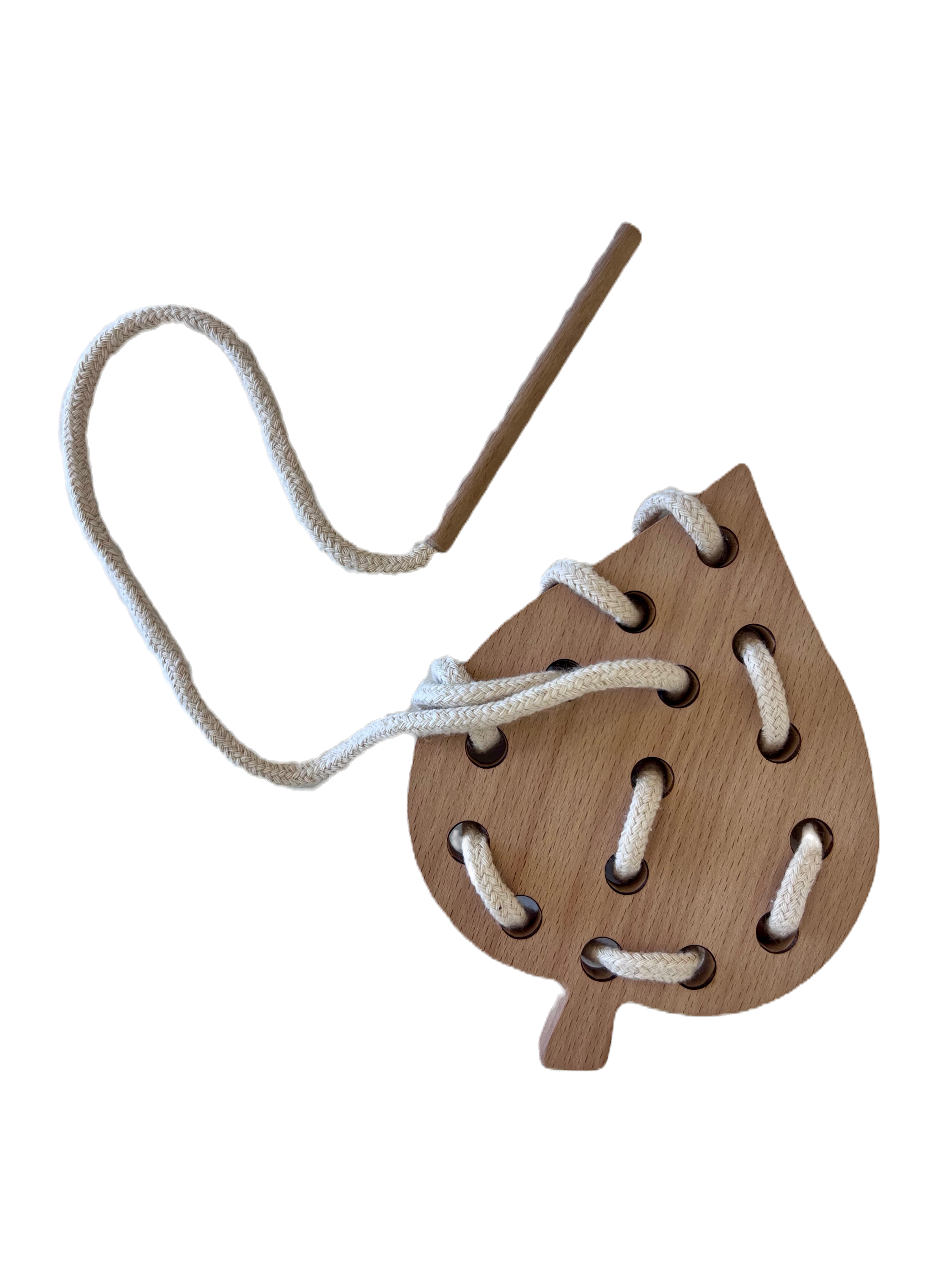 Lacing Materials -Leaf