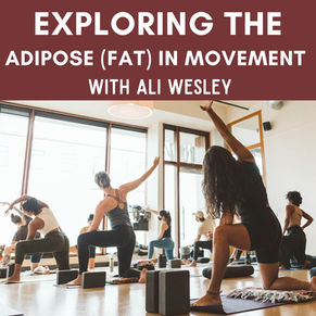 Exploring Adipose (Fat) in Movement