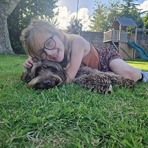 Willows Australian Labradoodle