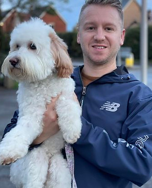 Australian Labradoodle breeder Willows