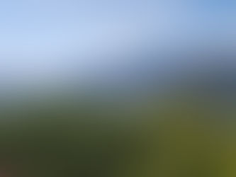 "Through the Eyes of the Coffee Bird" on European Coffee Trip