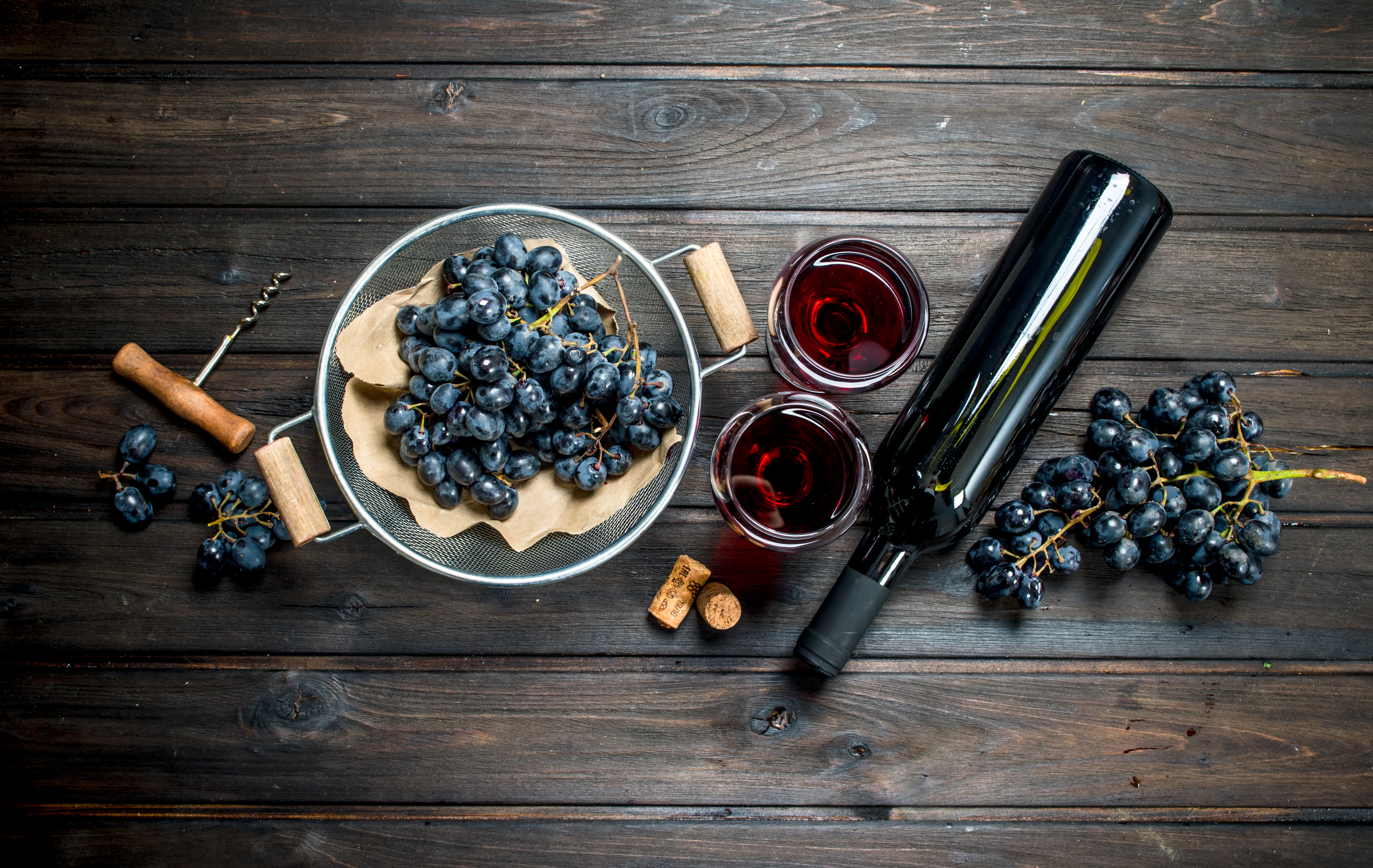 Arranged Food and Objects