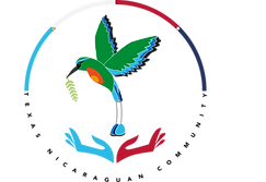 2024-02-19_ LOGO TNC MEDIUM.png