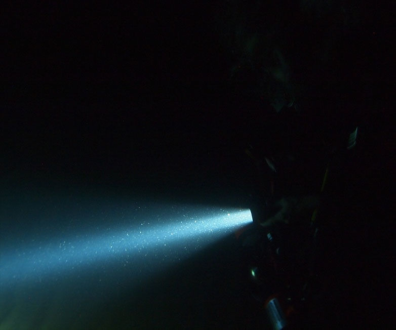 Thumbnail: OrcaTorch light D850
