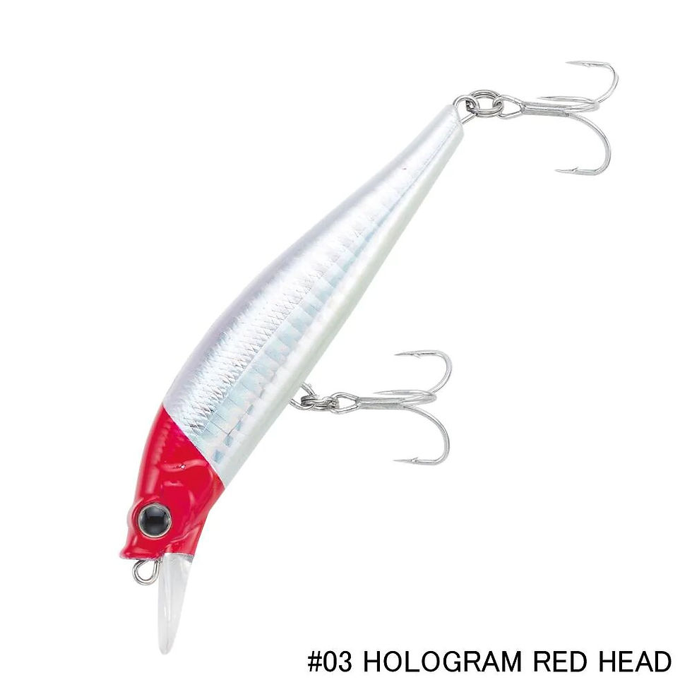 الصورة المصغرة: CRAZEE DIZZY MINNOW 90HS