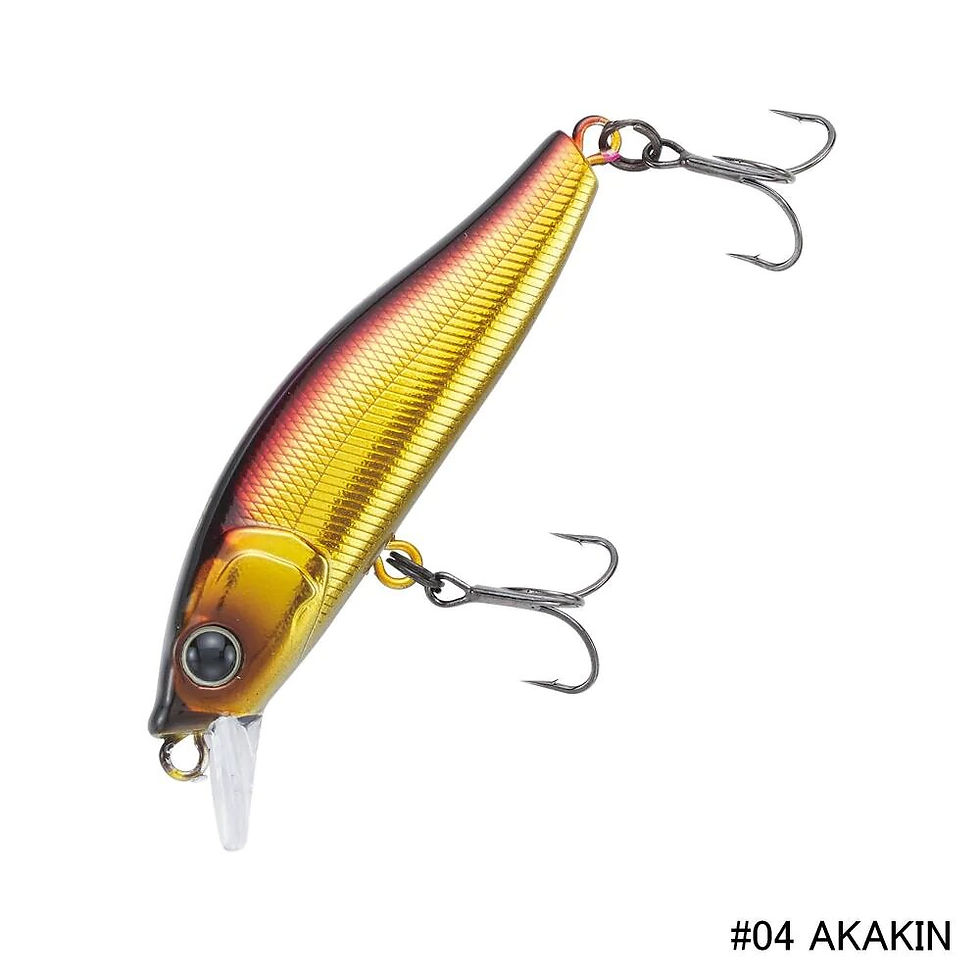 الصورة المصغرة: CRAZEE STREAM MINNOW 50s