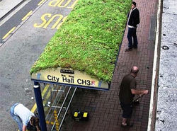 interieur d'abri bus 2 copie.jpg