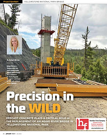 Precision in the Wild-Cover.jpg