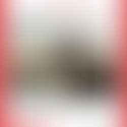 Hamilton Form Congratulates Coastal Precast Systems On Its Plant Expansion!