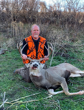 Ron Mule Deer.jpg