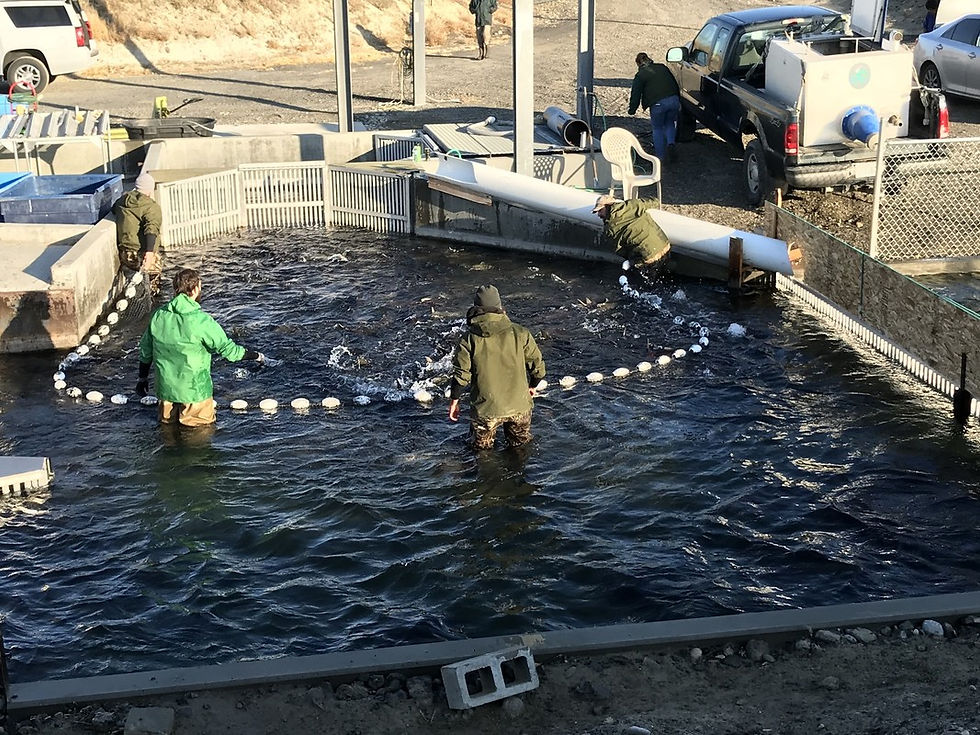 WDFW Job Opportunity