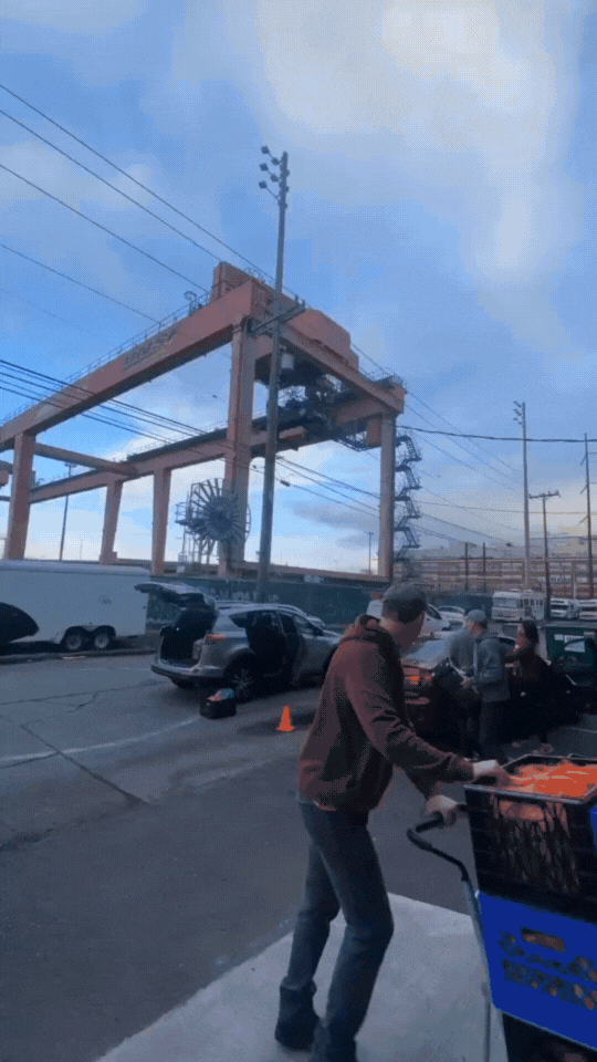 Timelapse 2.gif
