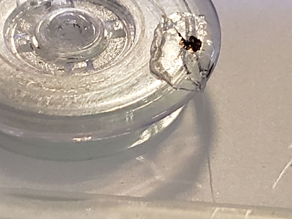 Thumbnail: SPOOL W/25 Feet invisible Line