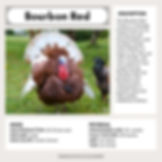 Bourbon Red Heritage Turkey