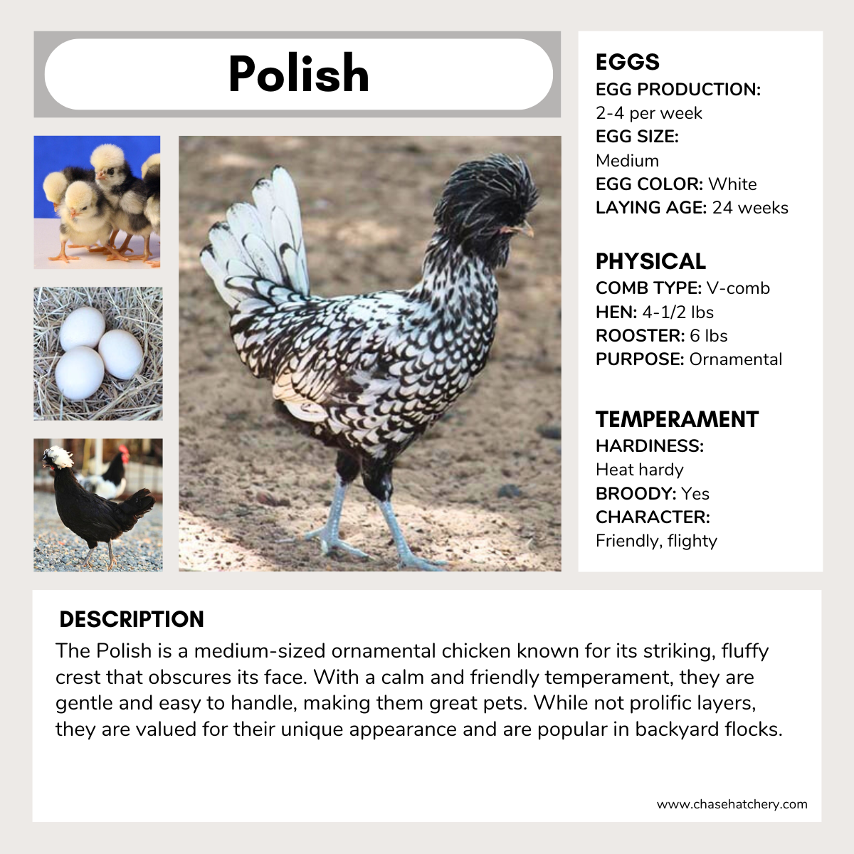 Polish