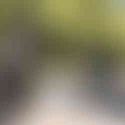 Barbersride motorbike riders