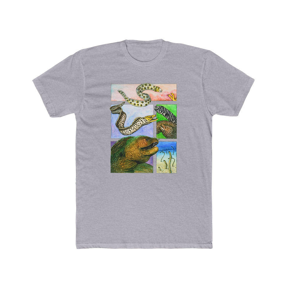 Thumbnail: Eels of Hawaii Graphic Tee - Next Level 3600