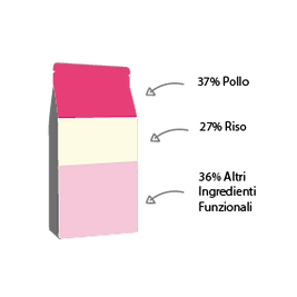Puppy Salmone Grafico.png