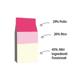 Puppy Salmone Grafico.png