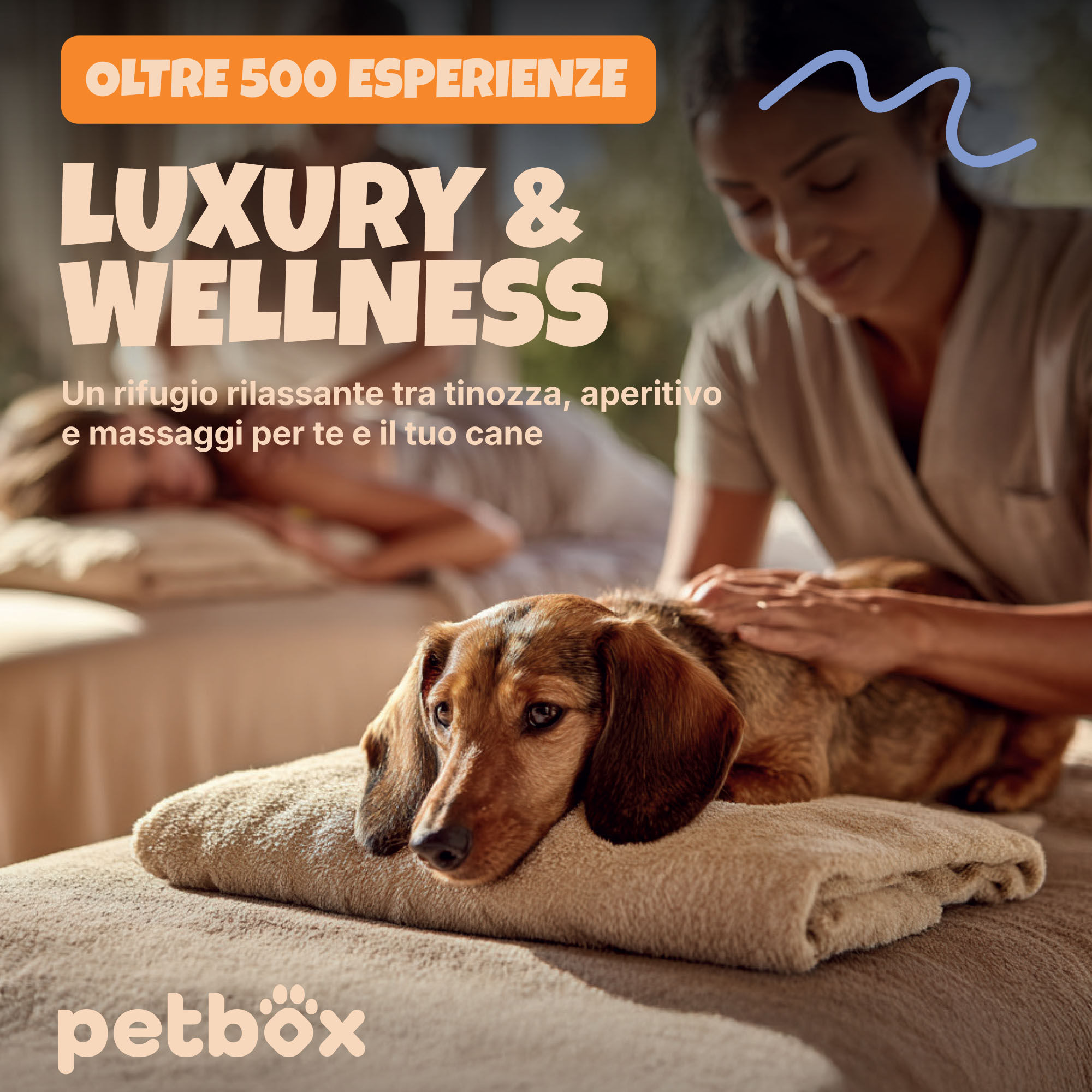 Luxury & Wellness ( fisico )